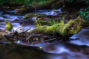 Logs in a stream