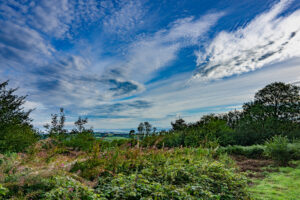 Cothelstone Hill