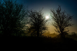 Moonrise on the Quantocks